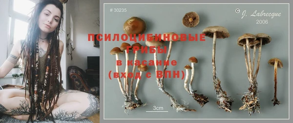 ECSTASY Гусиноозёрск