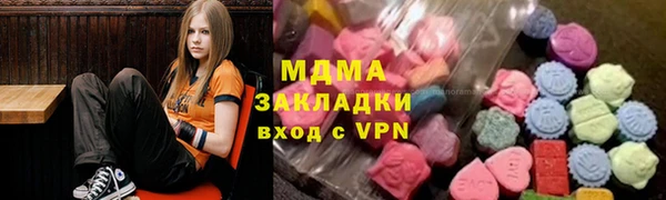 индика Гусев