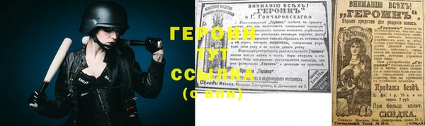 индика Гусев