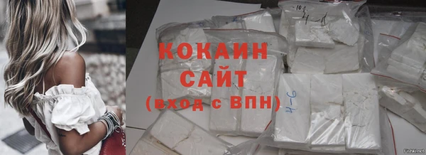 индика Гусев