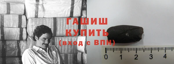 индика Гусев