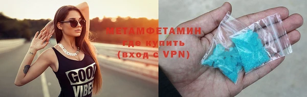 индика Гусев
