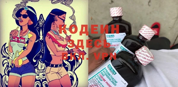 индика Гусев