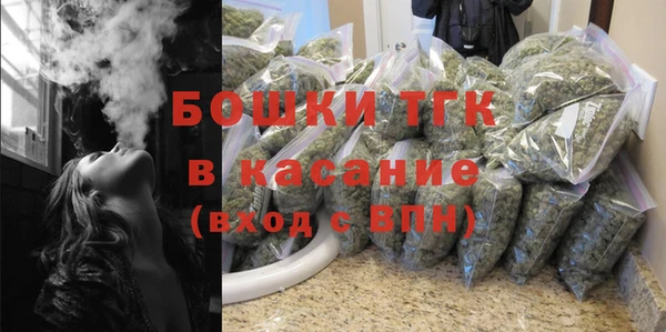 индика Гусев