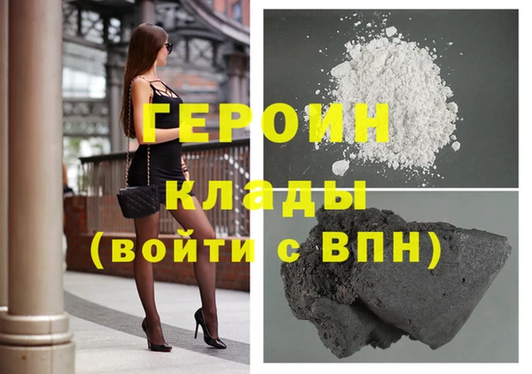 индика Гусев