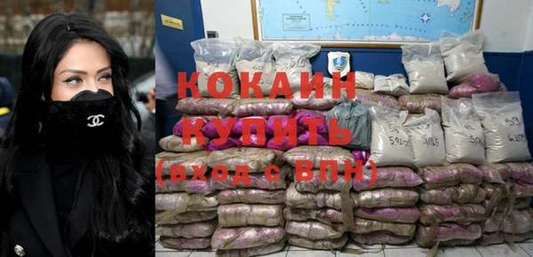 индика Гусев