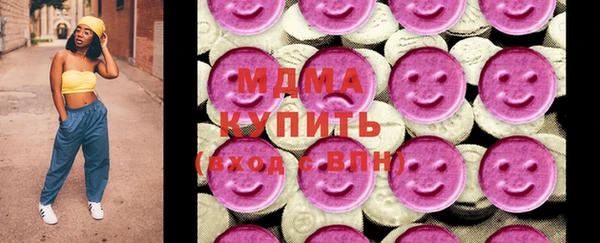 индика Гусев