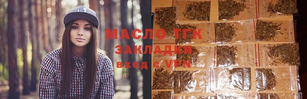 индика Гусев