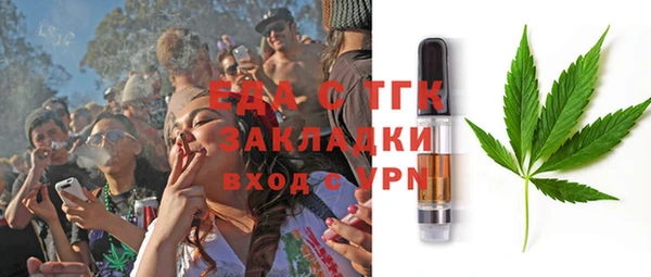 индика Гусев