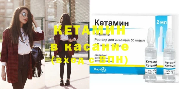 индика Гусев